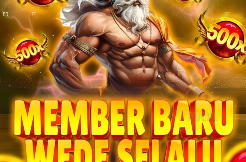  Semua yang Perlu Diketahui Tentang Olympus1000: Panduan Lengkap