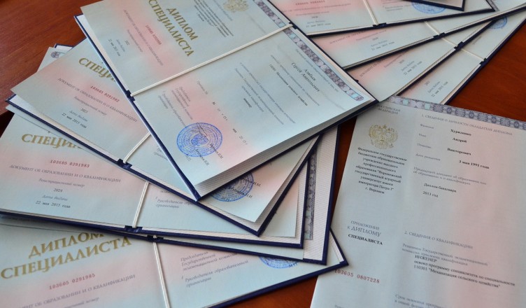 Купить диплом образца 2004 года особенности и преимущества